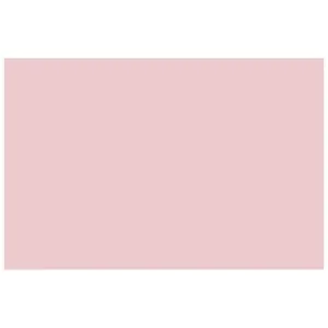 Cartulina de color rosa, con medidas 50x65 cm y densidad de 185 gr/m² CANSON.