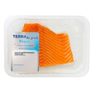 TERRANOVA Filete de salmón.