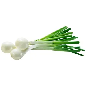 Cebolleta blanca manojo de 350 g.