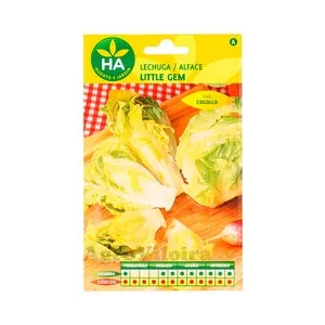 Semillas Lechuga little gem cogollo pequeño, HA HUERTO Y JARDÍN.