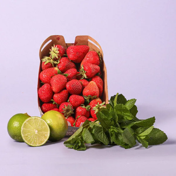 Lote mojito fresa
