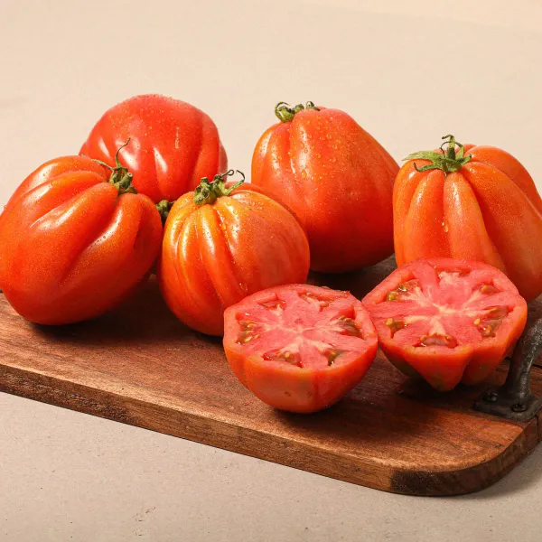 Tomate corazón de buey extra