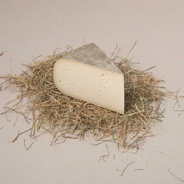 Queso cabra curat Can Xicoy