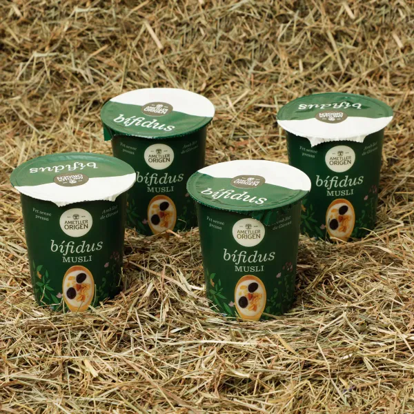 Yogur bífidus con muesli Ametller Origen 125g - 4uds.