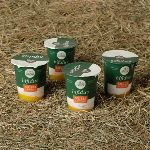Yogur bífidus con muesli y cítricos Ametller Origen 125g - 4uds.
