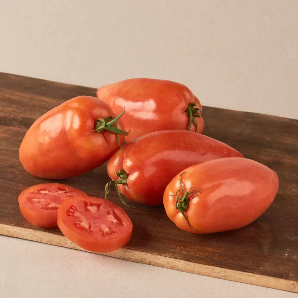 Tomate pimiento extra