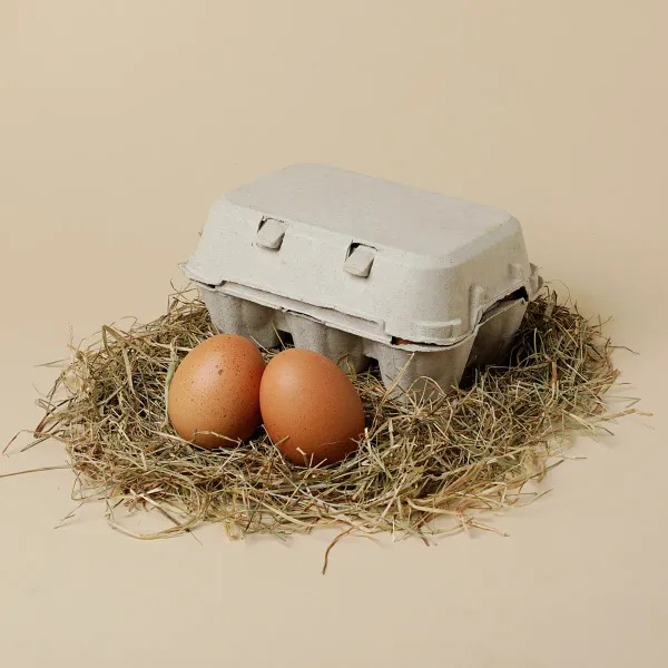 Huevos de gallinas L/XL Ametller Origen - 6uds.