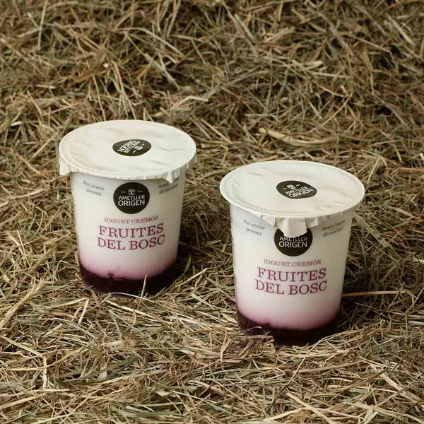 Yogur bicapa de frutos del bosque Ametller Origen 125g - 2uds.