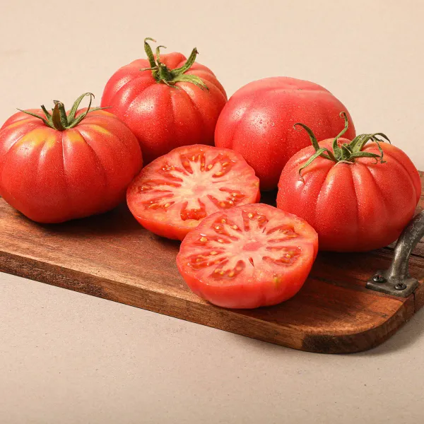 Tomate Monterosa