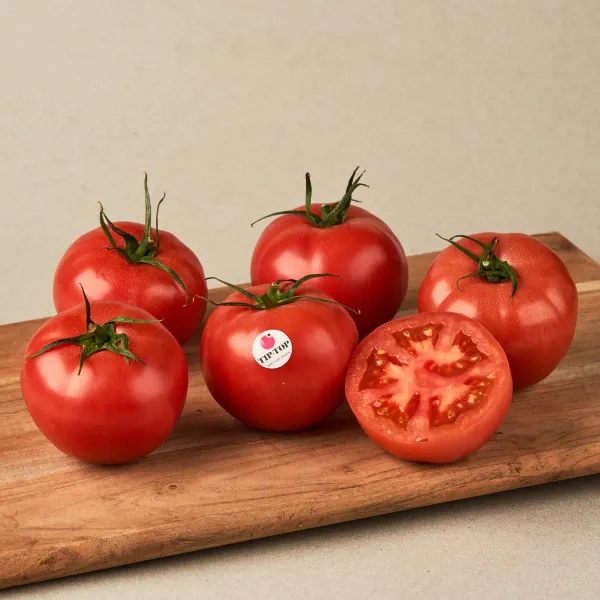 Tomate rosa extra