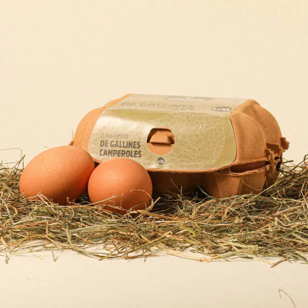 Huevos de gallinas criadas al aire libre L/XL Ametller Origen - 6uds.