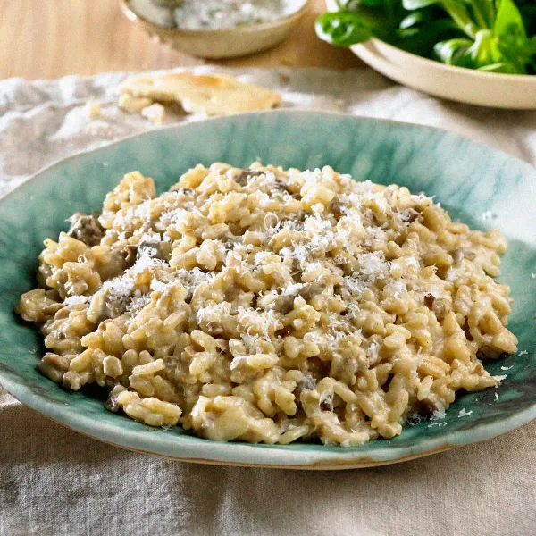 Risotto de setas Ametller Origen 250g