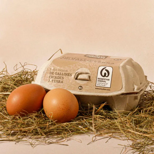 Huevos gallina criadas en suelo M/L AO 6UN