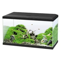 Acuario Negro Ciano 60 Plus con Luz LED, Filtro y Calentador
