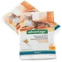 Advantage 40 Gatos 4 Pipetas (- 4 kg)