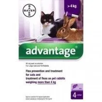 Advantage 80 Gatos 4 Pipetas (+ 4 kg)