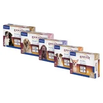 Pipetas Perros Effitix