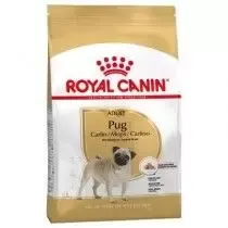 Royal Canin Adulto Carlino
