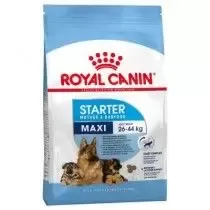 Royal Canin Maxi Starter