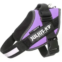 Arnés JULIUS-K9 IDC Morado para Perros