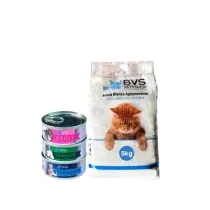 Mini Pack Descubrimiento