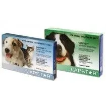 Capstar 11.4 mg 6 comprimidos