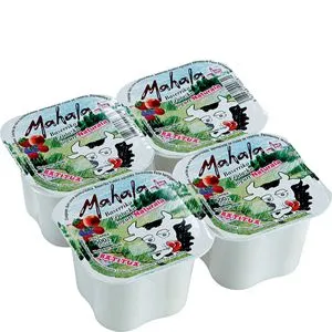 Yogur con frutas 4x125 g