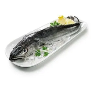 Merluza anzuelo del Cantábrico (1-2 kg aprox)