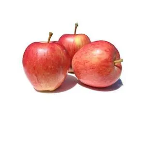 Manzana fuji bolsa 1,5 kg