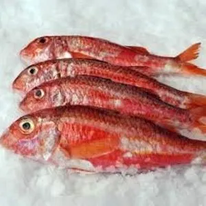 Salmonete