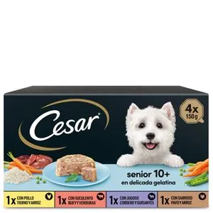 Comida para perros senior (10+) 4x150 g