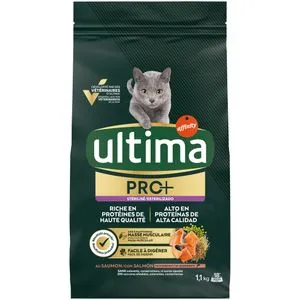 Pienso para gato junior con salmón 1,1 kg