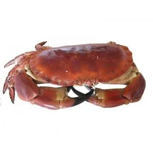 Buey de mar cocido 750 g congelado (fin de semana)