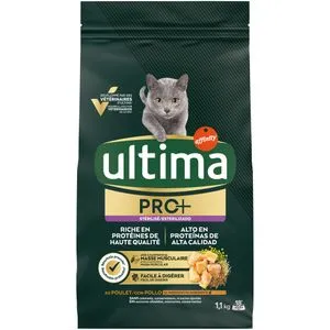 Pienso para gato junior con pollo 1,1 kg