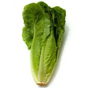 Lechuga oreja de burro (450 g aprox)