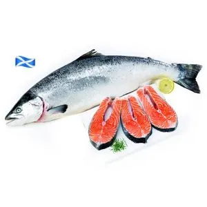 Salmón escocés pieza entera (4 kg aprox)