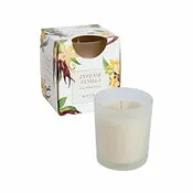 Vaso satinado vainilla 333033170
