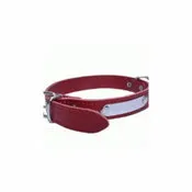 Collar con placa 18x400 mm