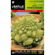 Batlle broculi romanesco natalino