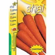 Shal zanahoria chantenay 0330