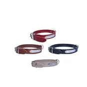 Collar cuero con placa 10x320 mm
