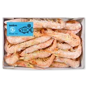 Gamba argentina nº 3