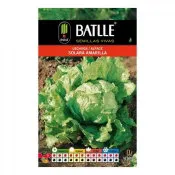 Batlle lechuga solara amarilla