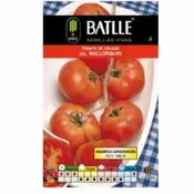 Batlle tomate colgar mallorquin