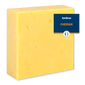 Queso cheddar extra mature