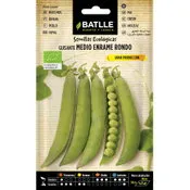 Batlle guisante rondo ecològico