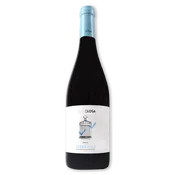 Vino tinto Gran Closa DO Terra Alta Samsó