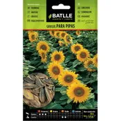 Batlle girasol para pipas