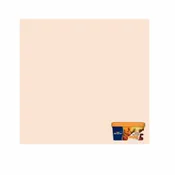 Pintura Col.Mundo 4L Matiz Melocoton. India 5246651                       