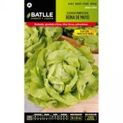 Batlle lechuga reina de mayo